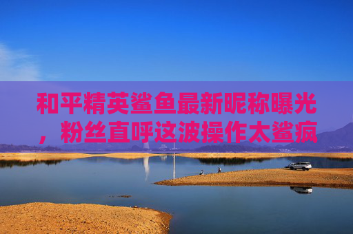 和平精英鲨鱼最新昵称曝光,粉丝直呼这波操作太鲨疯了!