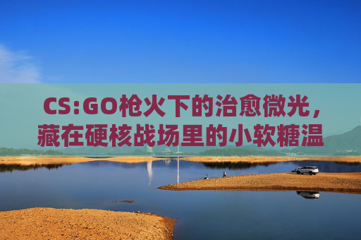 CS:GO枪火下的治愈微光，藏在硬核战场里的小软糖温柔