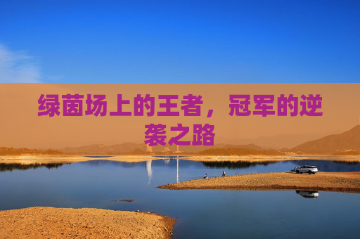 绿茵场上的王者,冠军的逆袭之路