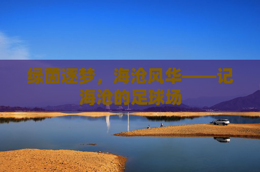 绿茵逐梦，海沧风华——记海沧的足球场