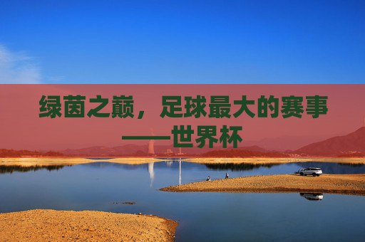 绿茵之巅,足球最大的赛事——世界杯