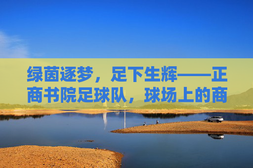 绿茵逐梦,足下生辉——正商书院足球队,球场上的商业智慧与兄弟情义