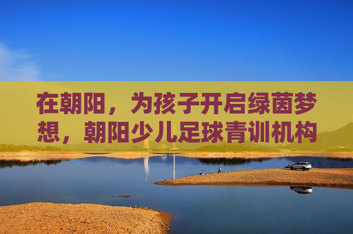 在朝阳，为孩子开启绿茵梦想，朝阳少儿足球青训机构深度解析