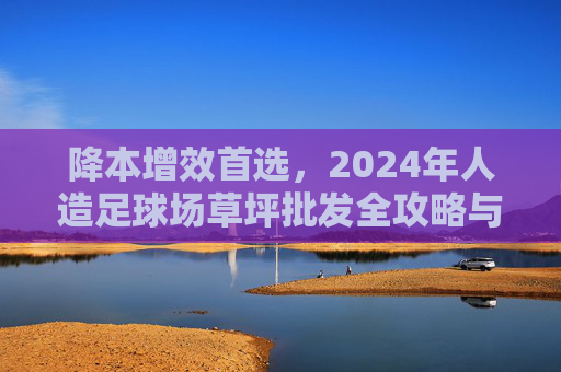 降本增效首选，2024年人造足球场草坪批发全攻略与选购指南
