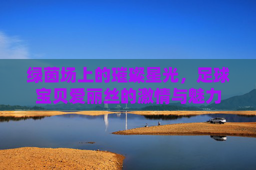 绿茵场上的璀璨星光，足球宝贝爱丽丝的激情与魅力