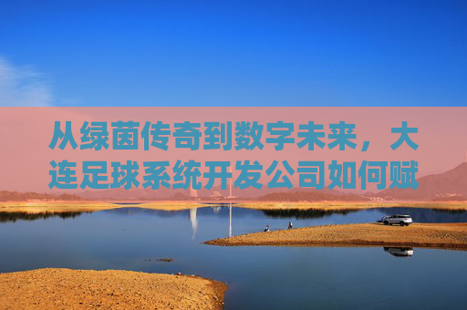 从绿茵传奇到数字未来，大连足球系统开发公司如何赋能体育产业