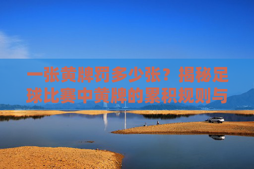 一张黄牌罚多少张？揭秘足球比赛中黄牌的累积规则与停赛机制