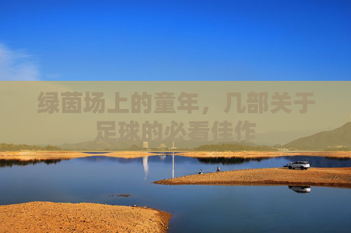绿茵场上的童年，几部关于足球的必看佳作