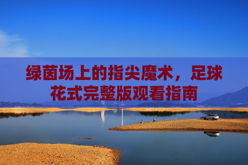 绿茵场上的指尖魔术,足球花式完整版观看指南