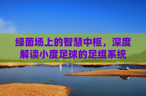 绿茵场上的智慧中枢,深度解读小度足球的足组系统