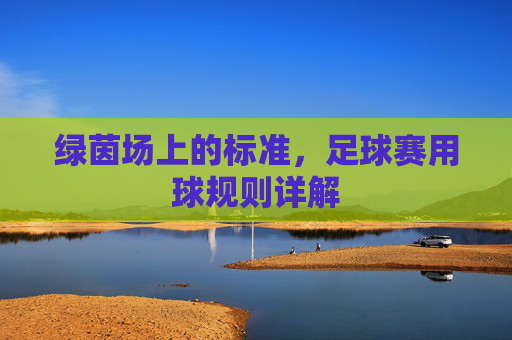 绿茵场上的标准，足球赛用球规则详解