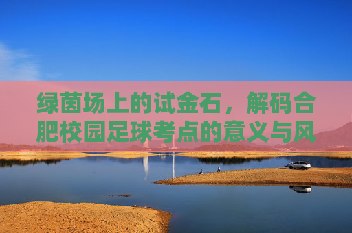 绿茵场上的试金石，解码合肥校园足球考点的意义与风采