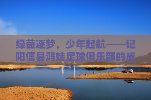绿茵逐梦，少年起航——记阳信县鸿娃足球俱乐部的成长之路