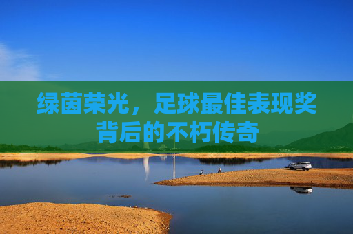 绿茵荣光，足球最佳表现奖背后的不朽传奇
