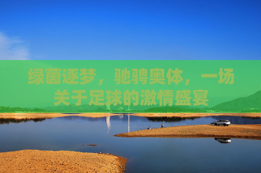 绿茵逐梦,驰骋奥体,一场关于足球的激情盛宴