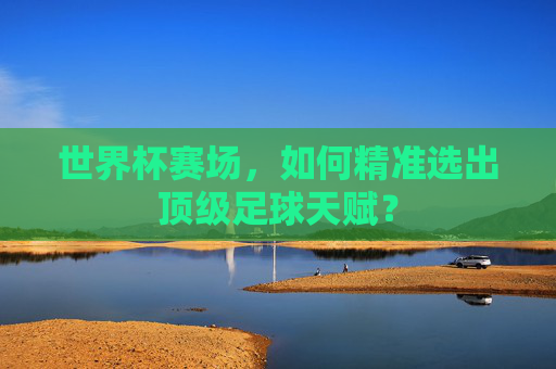 世界杯赛场,如何精准选出顶级足球天赋?