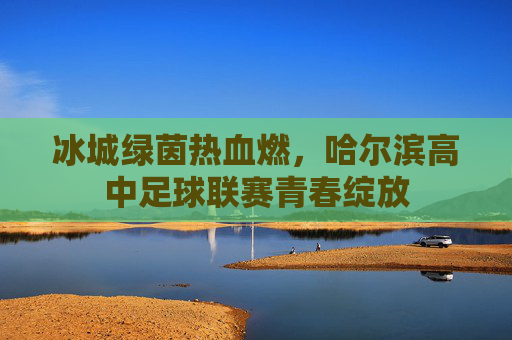 冰城绿茵热血燃,哈尔滨高中足球联赛青春绽放