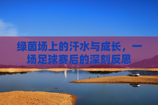 绿茵场上的汗水与成长，一场足球赛后的深刻反思