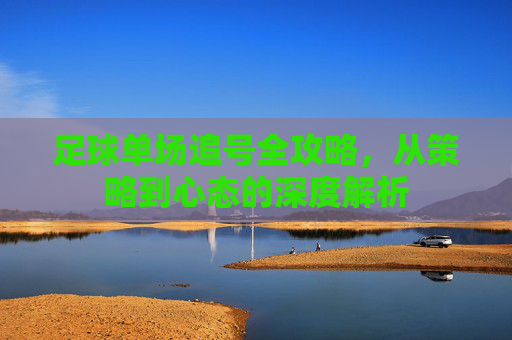 足球单场追号全攻略，从策略到心态的深度解析