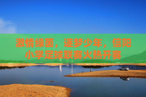 激情绿茵，逐梦少年，信阳小学足球联赛火热开赛