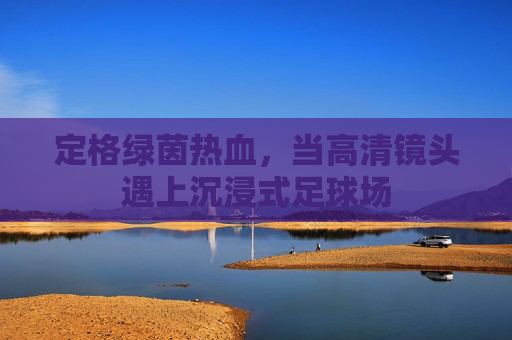 定格绿茵热血，当高清镜头遇上沉浸式足球场