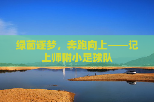 绿茵逐梦，奔跑向上——记上师附小足球队