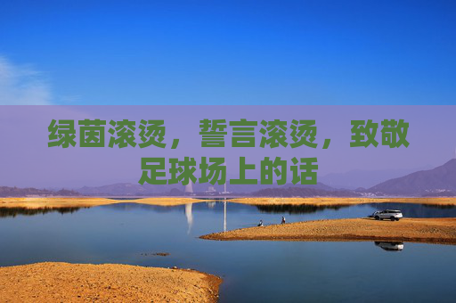 绿茵滚烫，誓言滚烫，致敬足球场上的话
