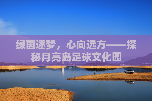 绿茵逐梦，心向远方——探秘月亮岛足球文化园