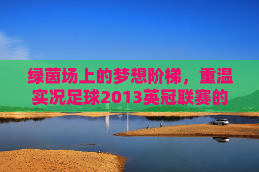 绿茵场上的梦想阶梯，重温实况足球2013英冠联赛的激情岁月