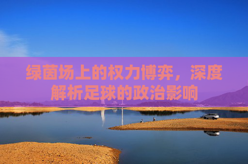 绿茵场上的权力博弈,深度解析足球的政治影响