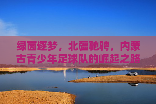 绿茵逐梦,北疆驰骋,内蒙古青少年足球队的崛起之路