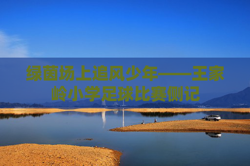 绿茵场上追风少年——王家岭小学足球比赛侧记