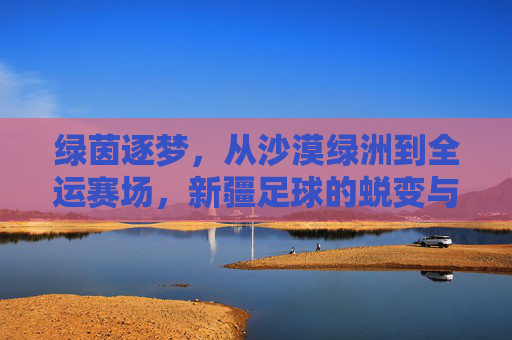 绿茵逐梦,从沙漠绿洲到全运赛场,新疆足球的蜕变与荣光