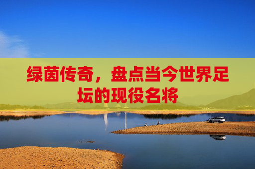 绿茵传奇，盘点当今世界足坛的现役名将
