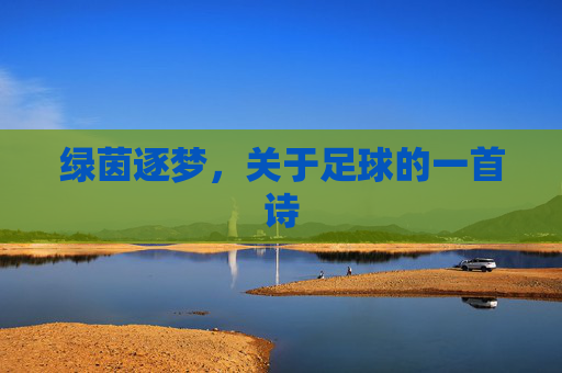 绿茵逐梦，关于足球的一首诗
