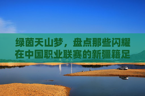 绿茵天山梦，盘点那些闪耀在中国职业联赛的新疆籍足球球员