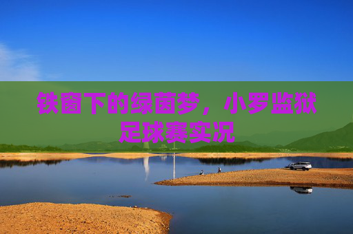 铁窗下的绿茵梦，小罗监狱足球赛实况