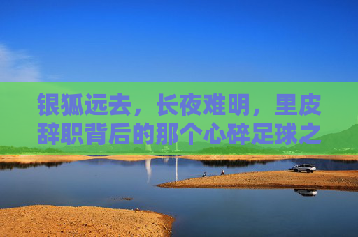 银狐远去，长夜难明，里皮辞职背后的那个心碎足球之夜