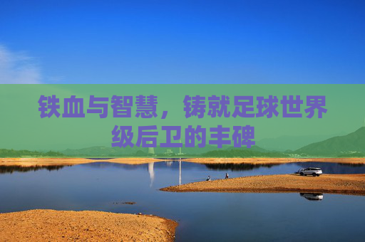 铁血与智慧，铸就足球世界级后卫的丰碑