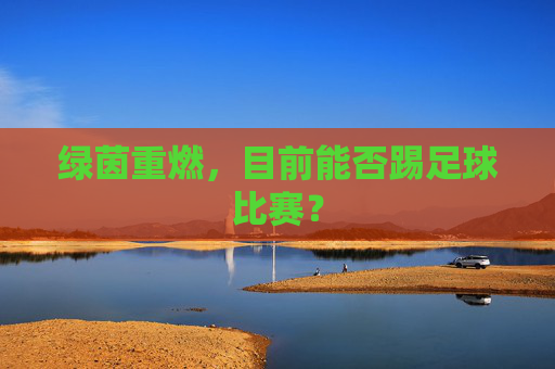 绿茵重燃，目前能否踢足球比赛？