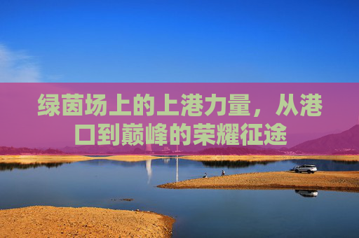 绿茵场上的上港力量,从港口到巅峰的荣耀征途