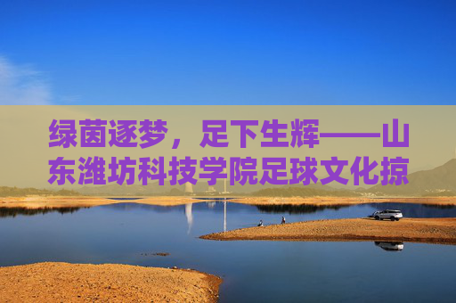 绿茵逐梦，足下生辉——山东潍坊科技学院足球文化掠影