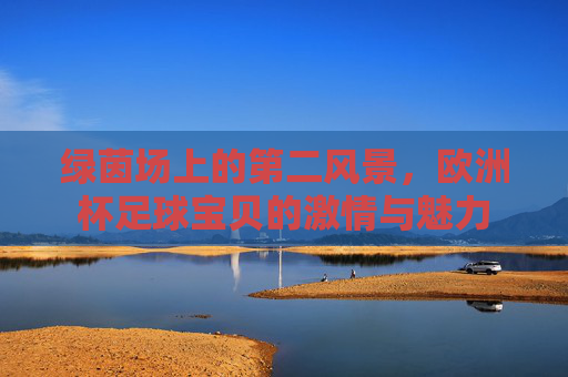 绿茵场上的第二风景，欧洲杯足球宝贝的激情与魅力