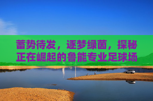 蓄势待发，逐梦绿茵，探秘正在崛起的鲁能专业足球场