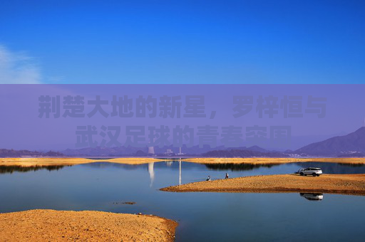 荆楚大地的新星，罗梓恒与武汉足球的青春突围