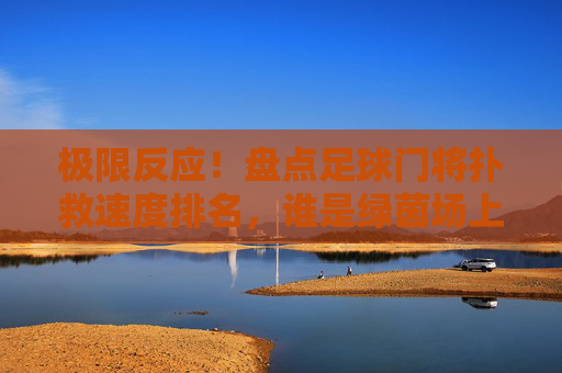 极限反应！盘点足球门将扑救速度排名，谁是绿茵场上的快门