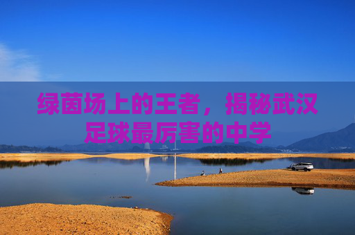 绿茵场上的王者，揭秘武汉足球最厉害的中学