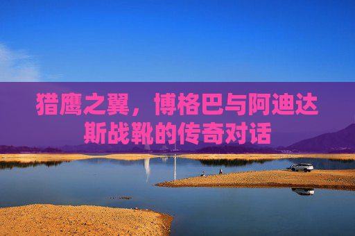 猎鹰之翼,博格巴与阿迪达斯战靴的传奇对话