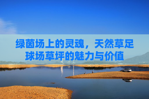 绿茵场上的灵魂，天然草足球场草坪的魅力与价值