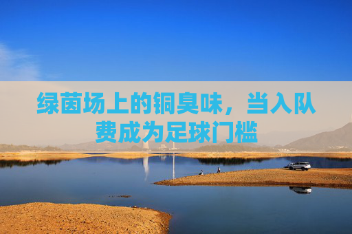 绿茵场上的铜臭味，当入队费成为足球门槛